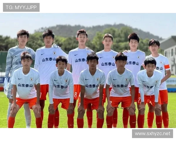 山东泰山阵容老化问题显现，对本赛季竞争力影响已逐步反映