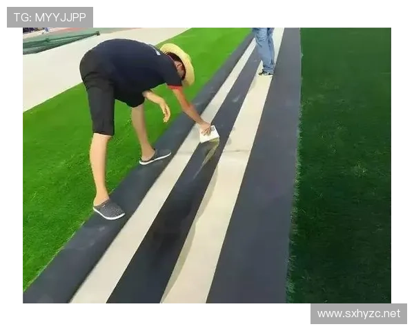 草坪场地规则拆解：标准尺寸与维护细节全解析